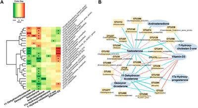 The gut microbial composition in polycystic ovary syndrome with hyperandrogenemia and its association with steroid hormones